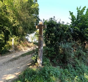 Petits chemins autour de Saussemesnil - Saussemesnil - 2