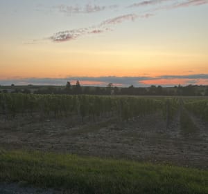 Petite marche à Biron - Biron - 2
