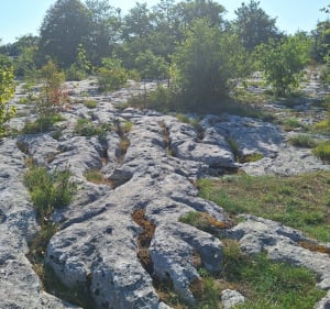 Dinosaures, lapiaz et belvédère - Loulle - 3