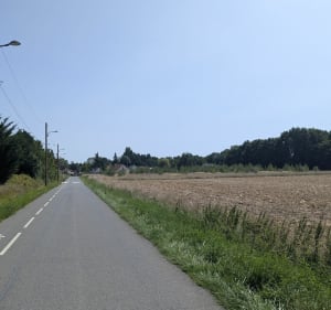 Boucle près de Chaumes-en-Brie par Argentières - Chaumes-en-Brie - 2
