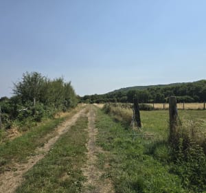 Balade sommet Puy de Paugnat - Volvic - 3