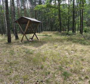Źródełko Rogoźnik - Rogoźnik - 5