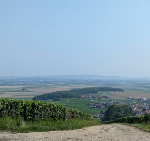 Balade panoramique Chapelle Saint-Lié - Jouy-lès-Reims - 3