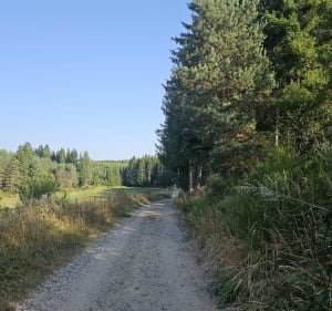 Apinac, Leignecq et ses hameaux - Apinac - 2