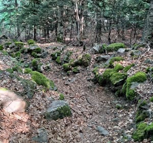 Coste Belle - Ruines de Pelissier - Saint-Jean-Saint-Nicolas - 3