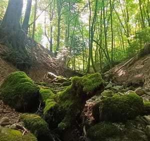 Balade autour de Groisy et la Mouille - cecile - 2