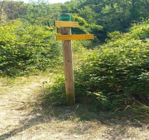 Autour de Meyrannes par Col de l'Espé - Meyrannes - 3