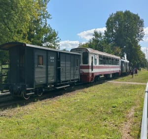 Chechło z Miechowic plus lasy gratis - Bytom - 2