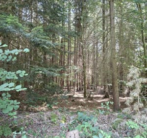 Petit parcours du Mont Pidgier - Saint-Hostien - 3