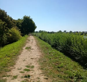 Le Quesnoy nature...  respirer - Le Quesnoy - 3