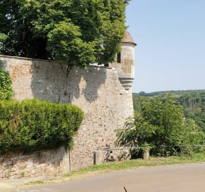 Avallon et découverte de la nature - Avallon - 3