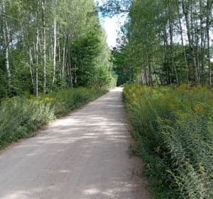 Lasy i pola - Białystok - 4