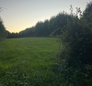 Marche à pied par Lerzy et le Boujon - Buironfosse - 2