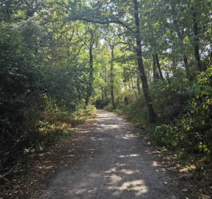 Balade entre vignes et étangs à Loroux - Le Loroux-Bottereau - 3