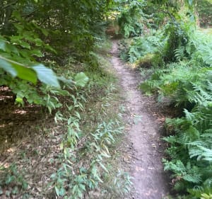 Balade autour de Forbach - Forbach - 3