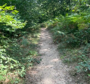 Balade autour de Forbach - Forbach - 5