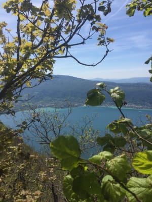 Mont Baret et émerveillement sur les sommets - Menthon-Saint-Bernard - 3