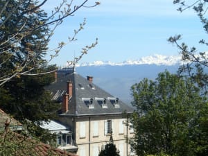 Bois des Vouillants verdoyants et pays des rêves de Rousseau - Grenoble - 4