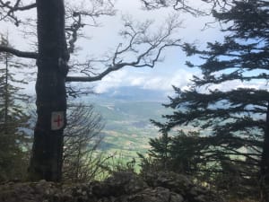 Legendarische route naar het uitzichtpunt van de Mont du Chat - Le Bourget-du-Lac - 3