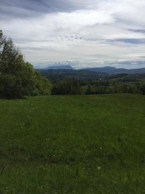 Balade dans les bois de Quintal et cueillette de châtaignes - Vieugy - 3