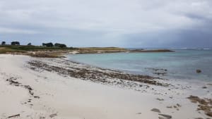 Grand tour de l'île de Batz et beauté de ses plages - Île de Batz - 3