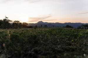 Virée à Romagnat et Gaule historique du plateau de Gergovie - Romagnat - 3