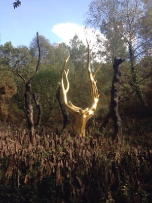 Tréhorenteuc en de verbeelding aan de macht in Brocéliande! - Tréhorenteuc - 3
