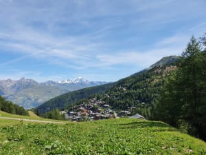 Randonnée familiale à la Plagne et caresses d'animaux - La Plagne - 5