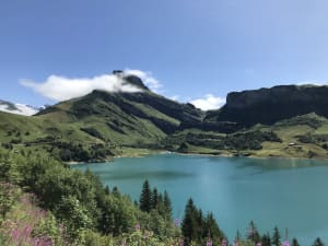Doux crépuscule à la Pierra Menta et rencontres sauvages - Beaufort - 3