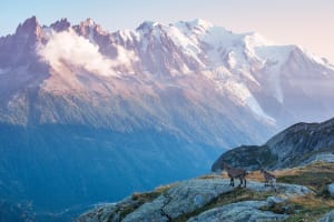 Mysterieuze weerspiegelingen van het meer van Chésérys en uitzicht op de Aiguilles - Tré-le-Champ-le-Haut, Argentière - 3