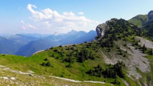 Grande Moucherolle et délices de montagne - Château-Bernard - 3