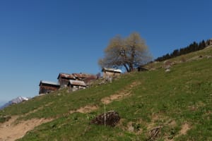 Aiguille de Criou et belvédère de l'espace en Haute-Savoie - Vallon d'en Haut, Samoëns - 4