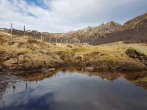 Balade au cœur du Puy de Sancy et dégustation d'eau salée - Baffaud, Chastreix - 3