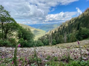 Sentier des Roches et découverte d'un joyau naturel alsacien - Stosswihr - 3