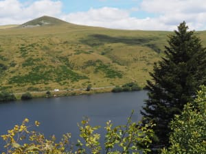 Frisse lucht bij het meer van Guéry en prachtige bloemenlandschappen - Mont-Dore - 3
