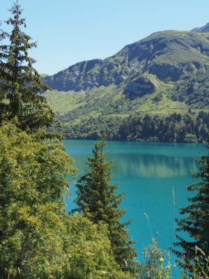 Lacs d'Amour et de Presset au contact des marmottes - Treicol, Beaufort - 3
