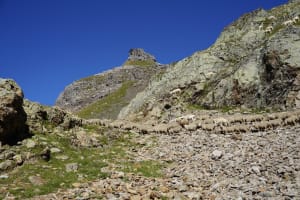 Etappe 2 van de TMB: de schoonheid van de Jovetmeren en de Bonhommepas - Les Contamines-Montjoie - 3