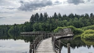 Balade paradisiaque au fil de l'eau et du lac des Settons - Montsauche-les-Settons - 4