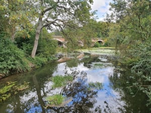 Meer van Châlette, Cepoy-vijvers en natuurbad - Châlette-sur-Loing - 4