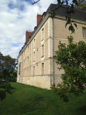 Tours et joyaux architecturaux au cœur de la Touraine - Tours - 3