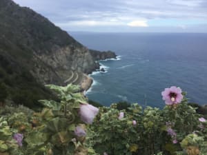 Notre-Dame-du-Mai en een verkwikkende wandeling langs de kust - Six-Fours-les-Plages - 3