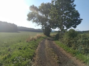 Boucle autour du Puy de Dôme et bivouacs suspendus - Laschamps - 3
