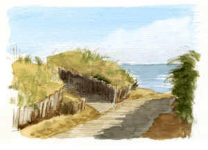 Découvertes autour de la Noue et dessins enchanteurs - Saint-Martin-de-Ré - 3