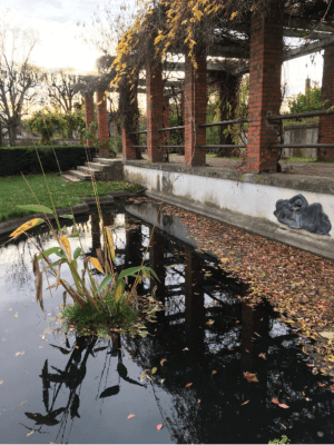 Jardin des plantes d'Orléans et ses trésors olfactifs - Orléans - 2