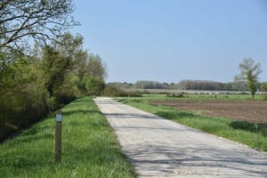 Balade sauvage à Queyrac et quiétude entre vigne et marais - Queyrac - 3
