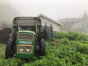 Rondreis door de Queyras in 5 dagen op de GR® 58 en wilde vluchten - Ceillac - 4
