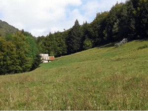 Rondje van de gehuchten van Joigny en wild natuurbad - Entremont-le-Vieux - 3