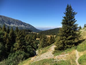 Lac Fourchu Loop en Maquisards' Trail - La Morte (Alpe du Grand-Serre) - 4