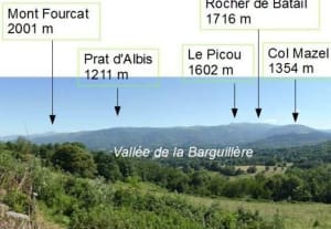 Forêt de Serres-sur-Arget et champignons à foison - Serre-sur-Arget - 3
