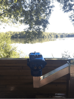 Lagune de Contaut et son petit trésor d'espace sensible - Hourtin - 3
